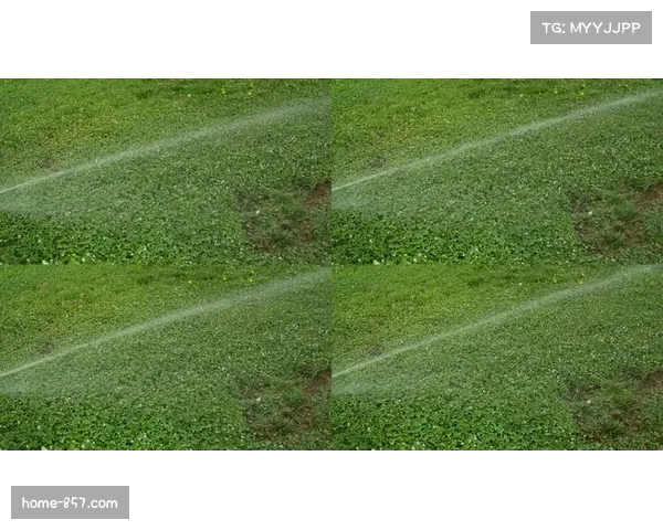 智能灌溉系统助力户外赛事场地草坪维护与健康管理